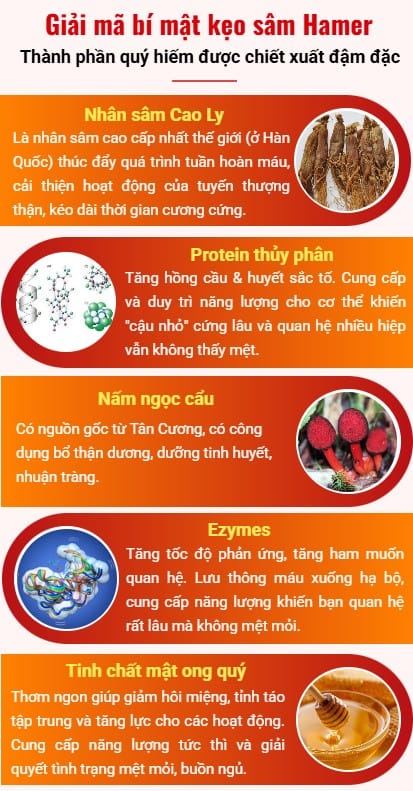 5 thành phần chính của kẹo sâm Hamer: nhân sâm Cao Ly, protein thủy phân, nấm ngọc cẩu, ezymes, tinh chất mật ong