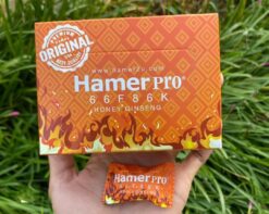 Kẹo sâm Hamer Pro chính hãng Malaysia cầm trên tay kèm viên kẹo lẻ - Nhà thuốc Trung Thắng