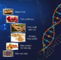 Các thành phần thiên nhiên của Kẹo sâm Xtreme Candy chính hãng Mỹ: mạch nha, lựu, sâm củ, protein thủy phân - Nhà thuốc Trung Thắng