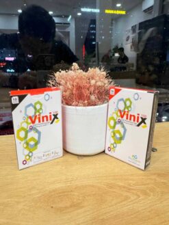 Tem ngậm Vinix chính hãng Hàn Quốc hai hộp đặt cạnh chậu hoa trang trí - Nhà thuốc Trung Thắng